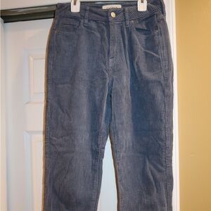 PacSun Blue Corduroy Straight Leg Pants